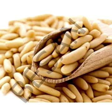 DOLMALIK FISTIK ÇAM FISTIĞI 50gr.