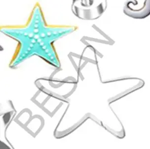 METAL KOPAT DENİZ YILDIZI